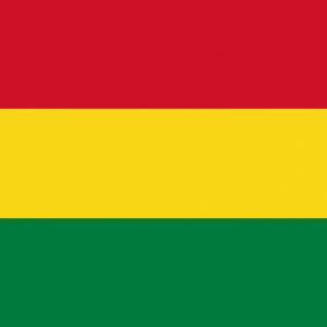 Bolivya Yurtdışı Kargo