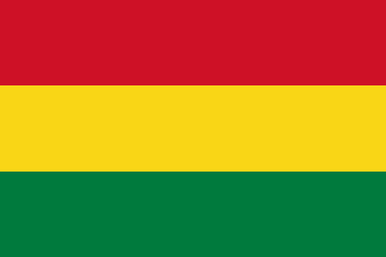 Bolivya Yurtdışı Kargo