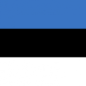Estonya Yurtdışı Kargo