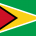 Guyana Yurtdışı Kargo