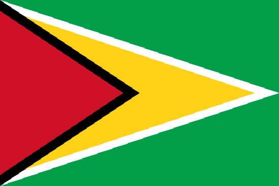 Guyana Yurtdışı Kargo