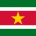 Surinam Yurtdışı Kargo
