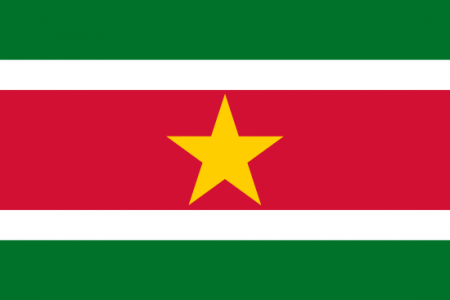 Surinam Yurtdışı Kargo