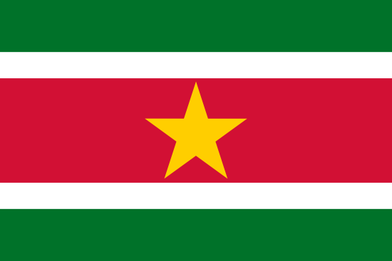 Surinam Yurtdışı Kargo