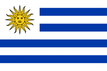Uruguay Yurtdışı Kargo