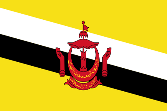 Brunei Yurtdışı Kargo