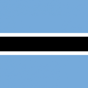 Botsvana Yurtdışı Kargo