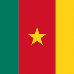 Kamerun Yurtdışı Kargo