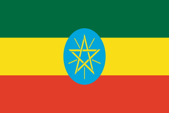 Etiyopya Yurtdışı Kargo