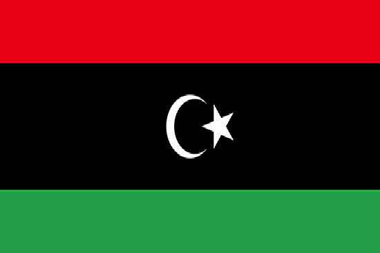 Libya Yurtdışı Kargo