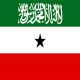 Somaliland Yurtdışı Kargo