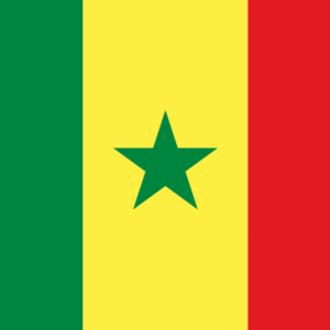 Senegal Yurtdışı Kargo