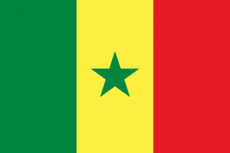 Senegal Yurtdışı Kargo