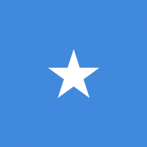 Somali Yurtdışı Kargo