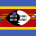 Svaziland Yurtdışı Kargo