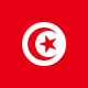 Tunus Yurtdışı Kargo
