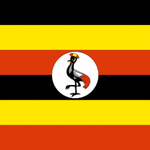 Uganda Yurtdışı Kargo