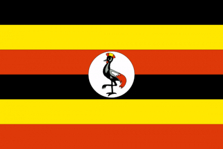 Uganda Yurtdışı Kargo
