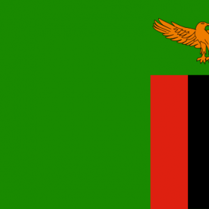 Zambiya Yurtdışı Kargo