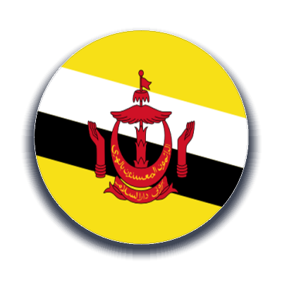 Brunei Kargo Gönder - Ekspres Kargo