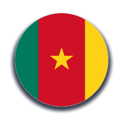 Kamerun Kargo Gönder - Ekspres Kargo