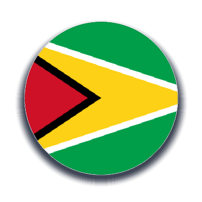 Guyana Kargo Gönder - Ekspres Kargo