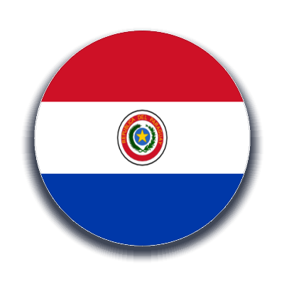 Paraguay Kargo Gönder - Ekspres Kargo