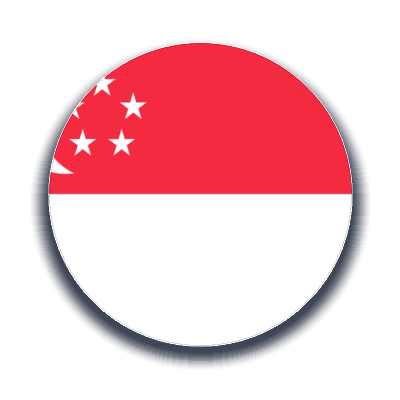 Singapur Kargo Gönder - Ekspres Kargo