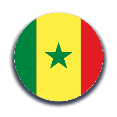 Senegal Kargo Gönder - Ekspres Kargo