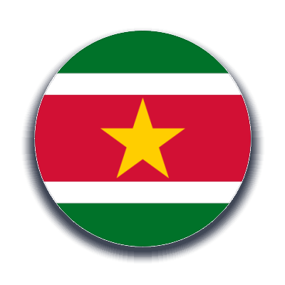 Surinam Kargo Gönder - Ekspres Kargo