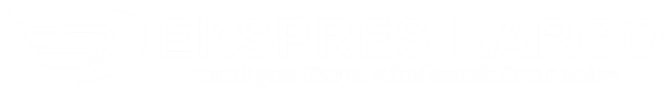 Ekspres Kargo Logo - Yurtdışı Kargo Taşımacılığı